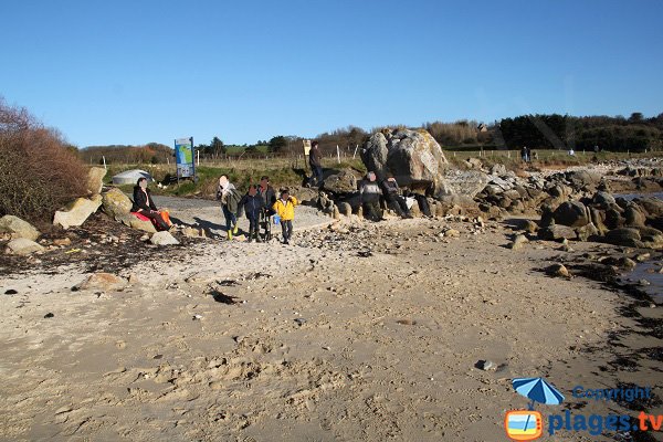 Plage de Ty Louzou - Finistère Nord