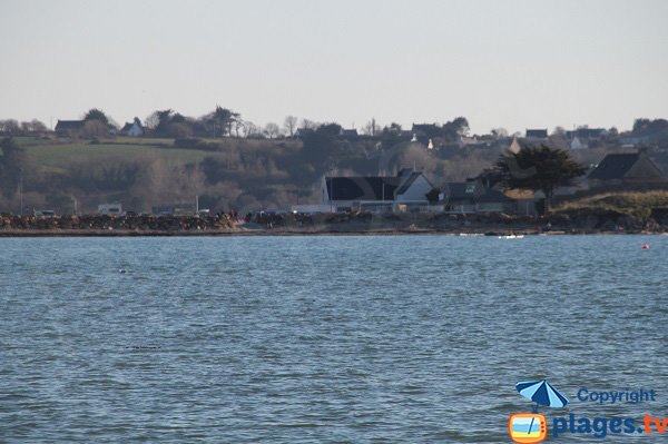 Vue sur le port de Térénez