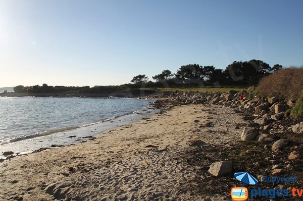 Photo de la plage de Ty Louzou de Plougasnou