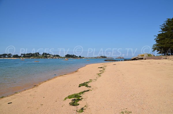 Plage à côté de la plage de Quo Vadis à Trégastel