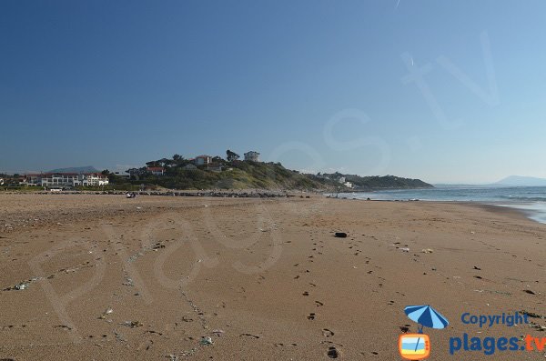 Plage Uhabia à Bidart à marée basse