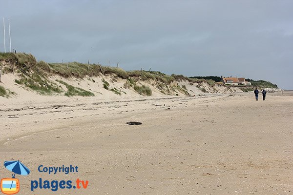 Dunes de la plage Utah beach à Sainte-Marie-du-Mont