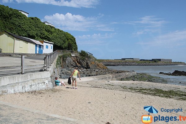 Algues vertes sur la plage de St Brieuc