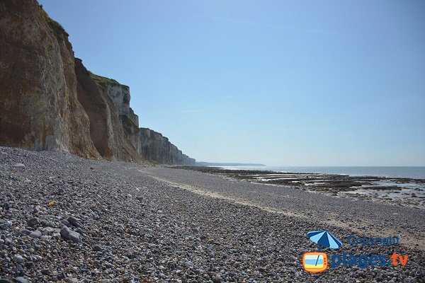 Photo dans la valleuse du Prêtre à Belleville sur Mer