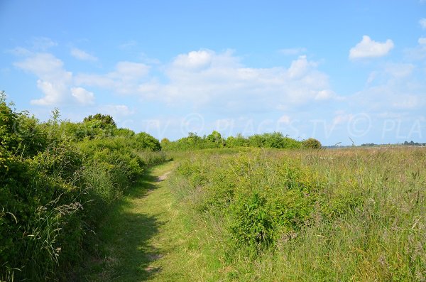 Accès à la plage Valy