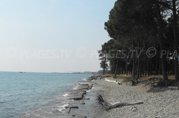 Photo de la plage de Vanga di l'Oru en Corse