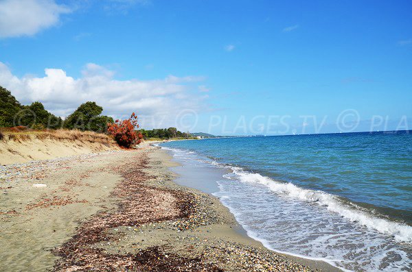 Beach environment of Santa Maria Poggio - Corsica