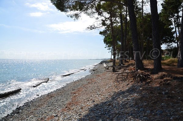 Spiaggia di Vanga di l'Oru a Santa Maria Poggio in Corsica