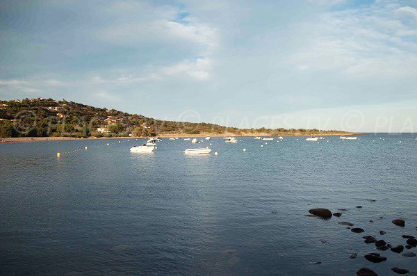 Vardiola bay in Corsica