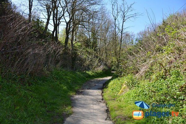 Sentier de la valleuse de Vasterival