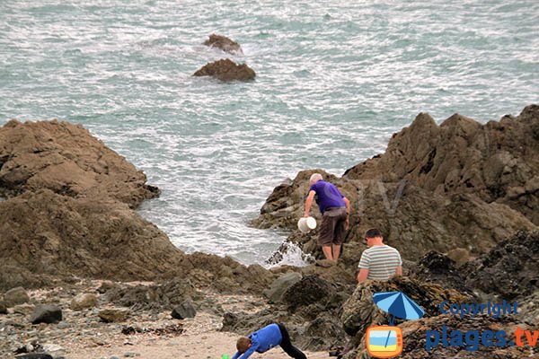 Pêche à pied à Planguenoual