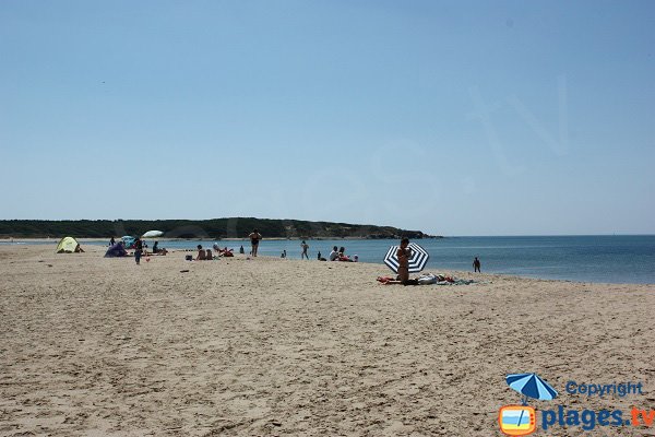 Plage de sable sauvage à Talmont