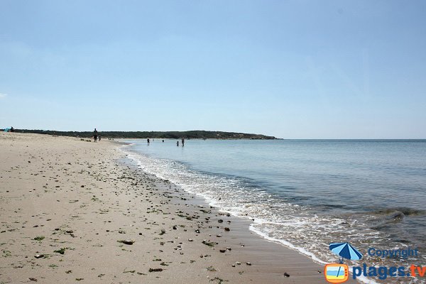 Plage à côté de la Payré à Talmont