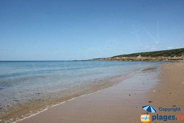 Photo of Grande Beach of Talmont toward the port