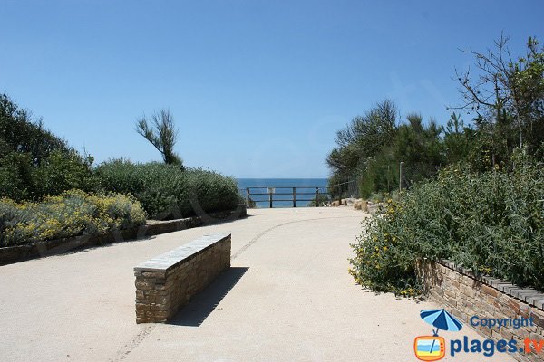 Accès à la plage de Talmont