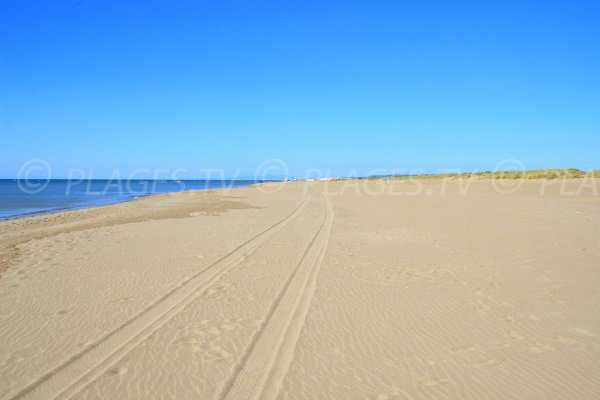 Plage Nord de Vendres en direction de l'Aude