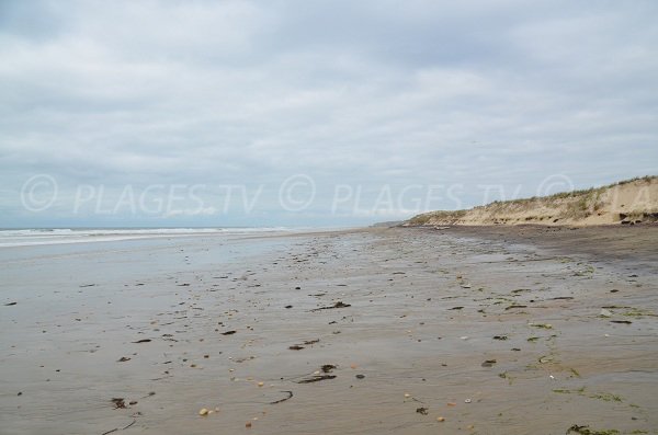 Plage de Vensac en direction du Nord