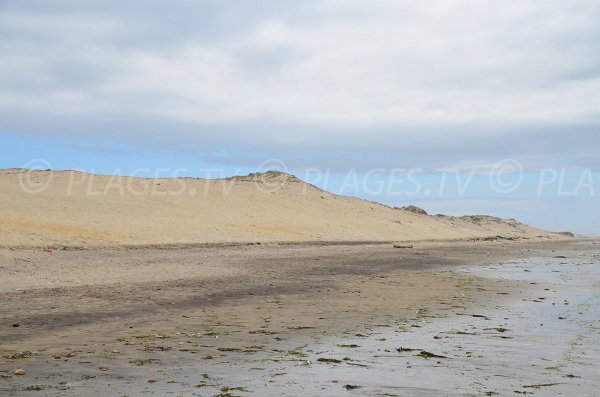 Dunes de Vensac en Gironde