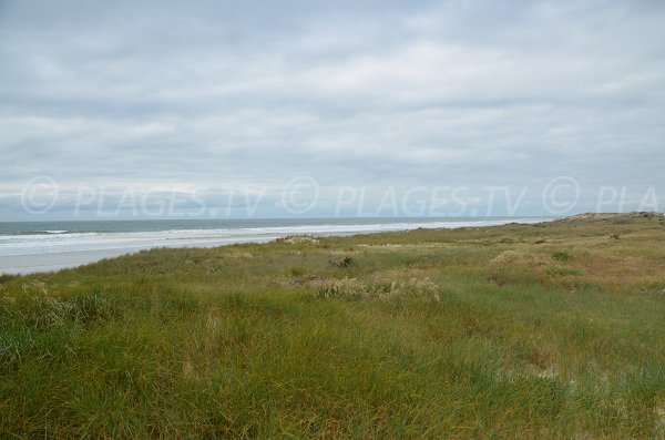 Environnement de la plage de Vensac