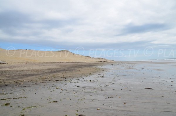 Plage de Vensac