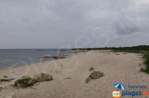 Plage de sable à la pointe de Ventilegne