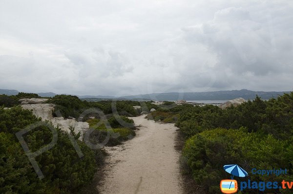 Sentier du littoral au niveau de la pointe de Ventilegne