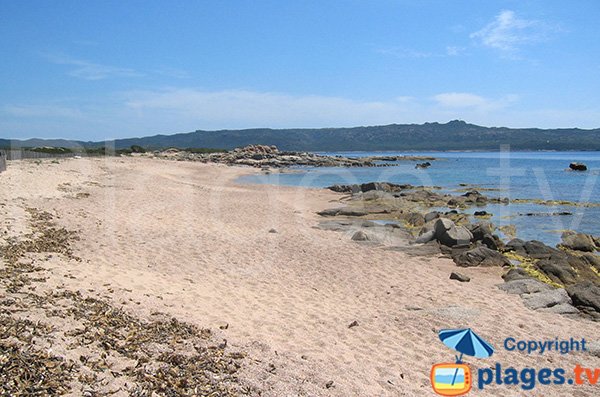 Plage au bout de la piste de Ventilegne - Figari