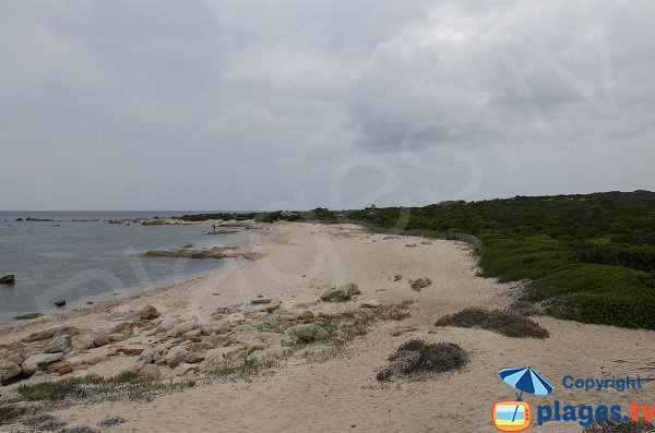 Photo de la plage à la pointe de Ventilegne - Corse Figari