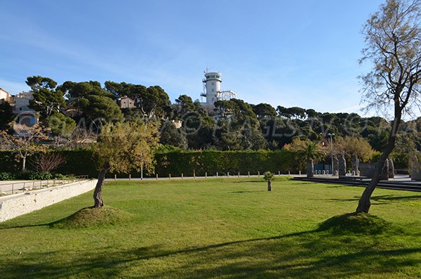 Grassy areas of Verdon beach - Martigues