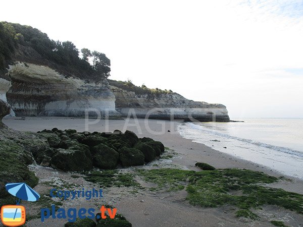 Crique au sud de la plage de Vergnes - Meschers sur Gironde