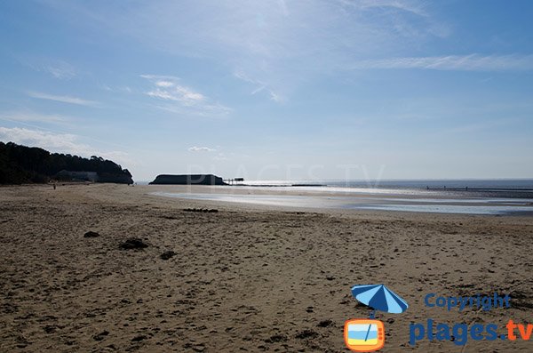 Photo de la plage de Vergnes à marée basse - Meschers