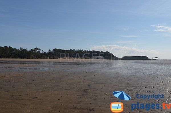 Plage avec des carrelets à Meschers sur Gironde