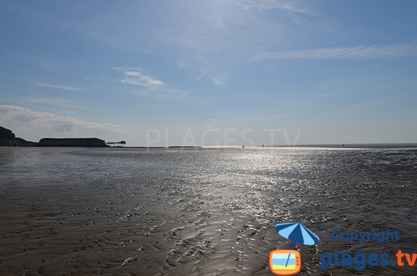 Baignade à marée basse sur la plage des Vergnes à Meschers