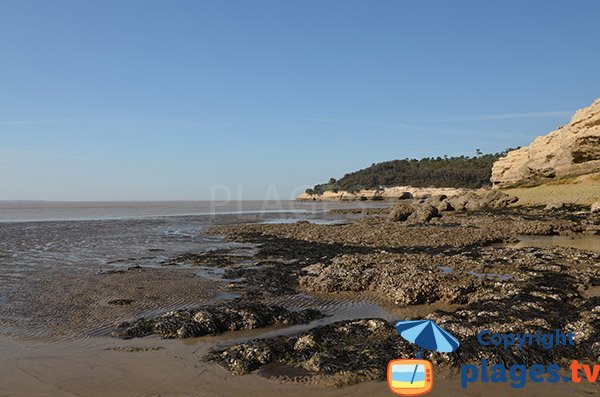 Rochers sur la plage des Vergnes - Meschers