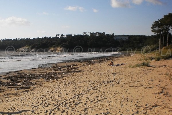 Photo de la plage des Vergnes à Meschers sur Gironde