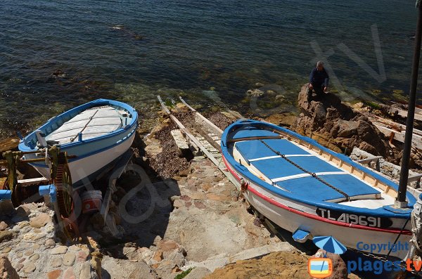 Pointus sur la plage de la Verne à La Seyne