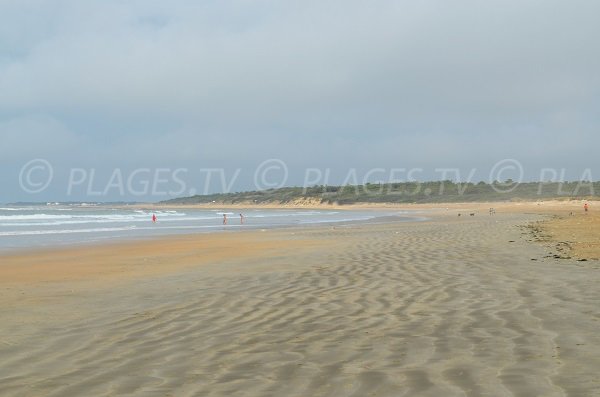 Vert Bois beach in Oléron in France