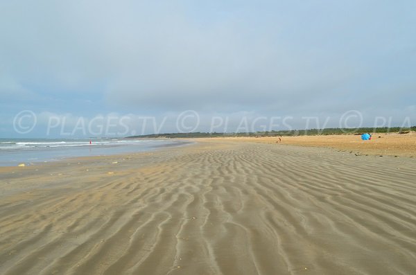 Photo de la plage de Vert Bois à Dolus d'Oléron