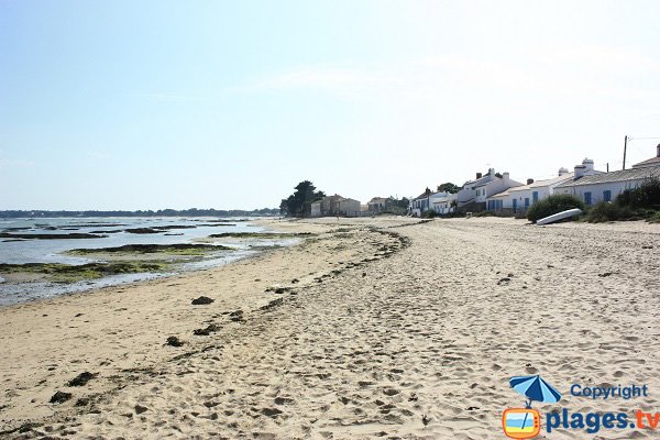 Plage du Vieil à Noirmoutier