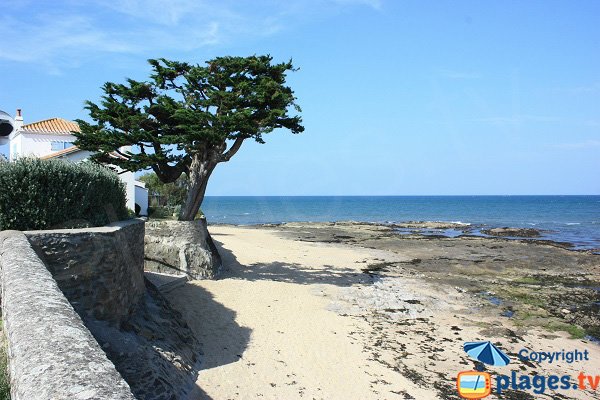 Fine della spiaggia di Vieil di Noirmoutier