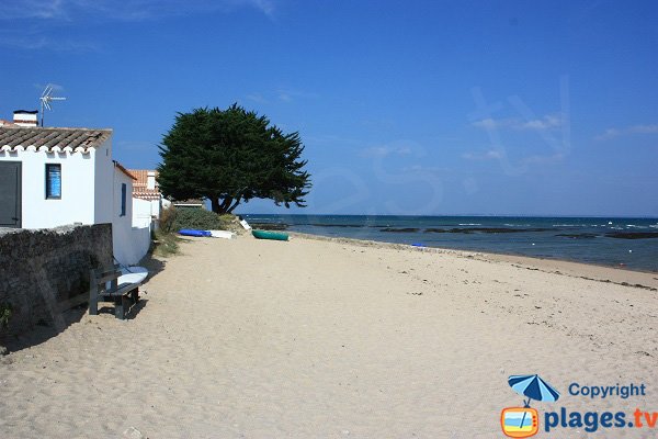 Photo de la plage du Vieil à Noirmoutier