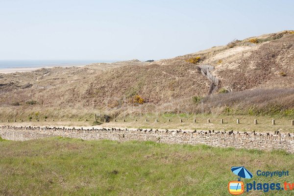 Dunes of Vieille Eglise beach in Barneville