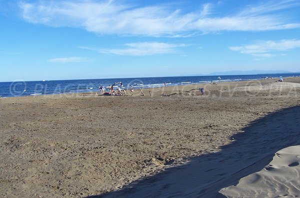 Plage sauvage à Gruissan