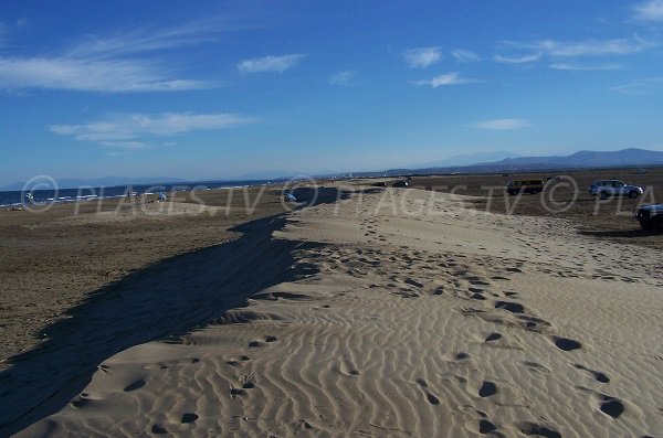 Dunes of Gruissan - Vieille Nouvelle beach