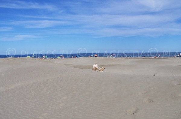 Dune della spiaggia della Vieille Nouvelle - Port la Nouvelle