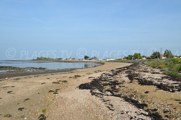 Beach on the road from the tip of Smoke to Fouras