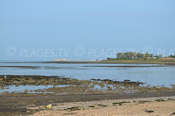 Vue sur le fort Enet