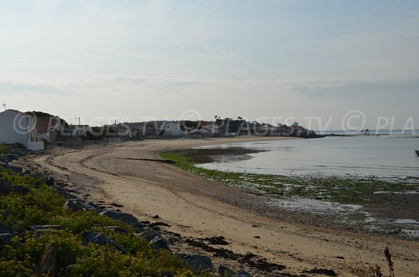 Plage de la Vierge à Fouras