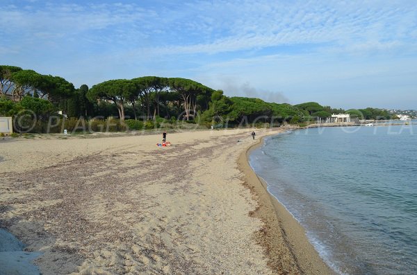 Strand Le Vieux Moulin am Rande eines Pinienwaldes