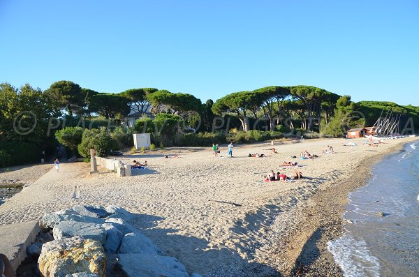 Foto della spiaggia del Vieux Moulin a Grimaud - Francia